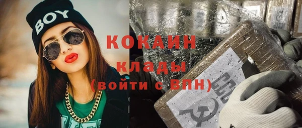 винт Верея