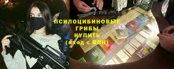 альфа пвп Бородино
